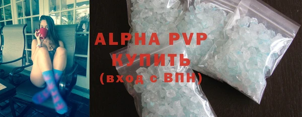 a pvp Бородино