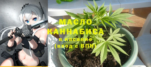 a pvp Бородино