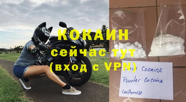 a pvp Бородино