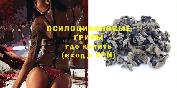a pvp Бородино