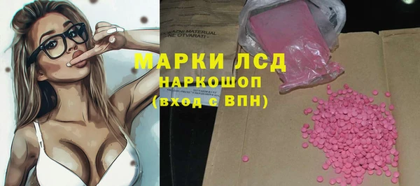 a pvp Бородино